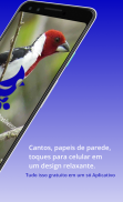 Brazilian's birds sounds screenshot 10