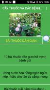 CAY THUOC VIET screenshot 1