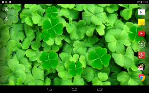 Clover Live Wallpaper screenshot 1