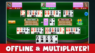 Canasta Plus Offline Card Game screenshot 2