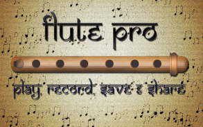 Flute Pro screenshot 0