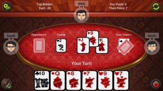 29 Card Game screenshot 7