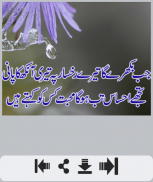 Ishq Shayari screenshot 0