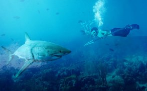 गुस्से में व्हेल शार्क हंटर - बेड़ा जीवन रक्षा screenshot 5