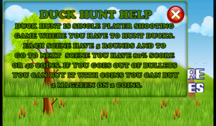Duck Hunter screenshot 18