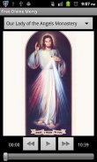 Divine Mercy Chaplet screenshot 1