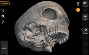 Скелет | 3D Анатомии screenshot 4
