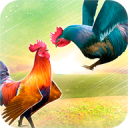 Wild Rooster Run - Frenzy Chicken Farm Race Icon