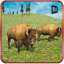 Angry Buffalo Simulator 3D