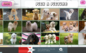 Puzzles of Puppies Free screenshot 11