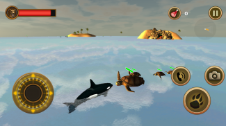 Orca Survival Simulator screenshot 5