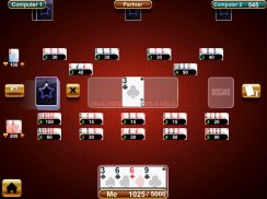 Canasta Royale Offline screenshot 14