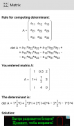 Matrix Calculator screenshot 7