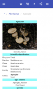 Genera of fungi screenshot 3