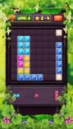 Block Puzzle Level screenshot 11