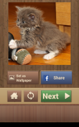 Yapboz Oyunları Kedi Oyunu screenshot 15