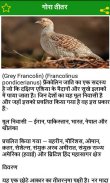 Birds Information in Hindi screenshot 6