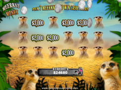 Flamingo Safari Slots FREE screenshot 9