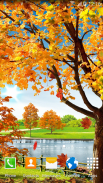 Autumn Pond Live Wallpaper screenshot 1