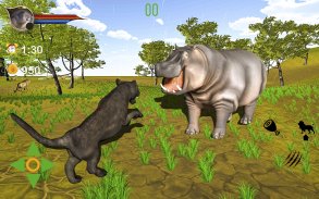 Cougar Lion Simulator 2021 – Predator Lion Games screenshot 12