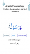 AnalyzeQuran - Quran with AI screenshot 6