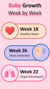 Pregnancy Tracker & Calculator screenshot 6