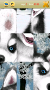 Talking Siberian Husky screenshot 5