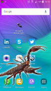 Scorpion in phone screenshot 1