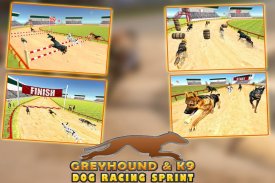 Crazy Dog Racing APK for Android Download