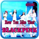 How You Like That - Blackpink Song Offline