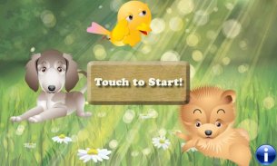 Dog Town: Puppy Pet Shop Games android iOS apk download for free-TapTap