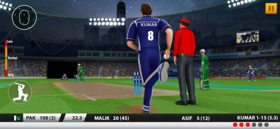 World Cricket Games :T20 Cup screenshot 5