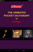 Urology - Medical Dictionary screenshot 6