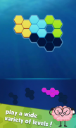 Hexa Puzzle: Triangle Block screenshot 1