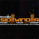 Radio Sidewinder Icon