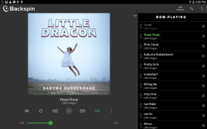 Backspin Music Player screenshot 10