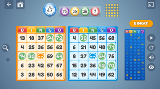 Bingo Set screenshot 0