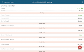 GE Credit Union Mobile Banking screenshot 0
