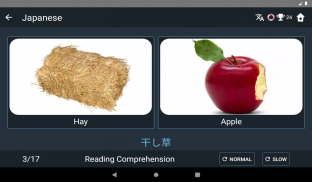 Japanese Language Tests screenshot 22