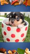 Cute Dogs Jigsaw Puzzle screenshot 0