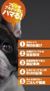 French Bulldog Life【フレンチブルドッグラ screenshot 1