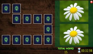 All Vegetals Pairs Memory Game screenshot 8