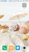 Seashell wallpaper HD screenshot 7