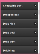 A Glossary of Football Terms screenshot 15