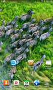 Fondos de pantalla Animal screenshot 16