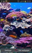 Aquarium Hintergrundbilder screenshot 3