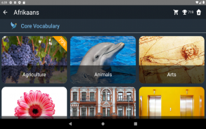 Afrikaans Language Tests screenshot 3