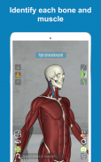 Corporis Anatomy | Interactive 3D Human Body Atlas screenshot 0