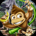 Monkey Adventure Icon