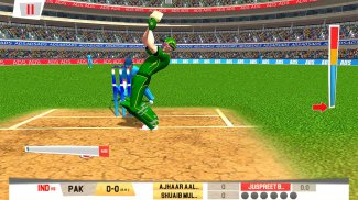 Real World Cricket Tournament screenshot 0